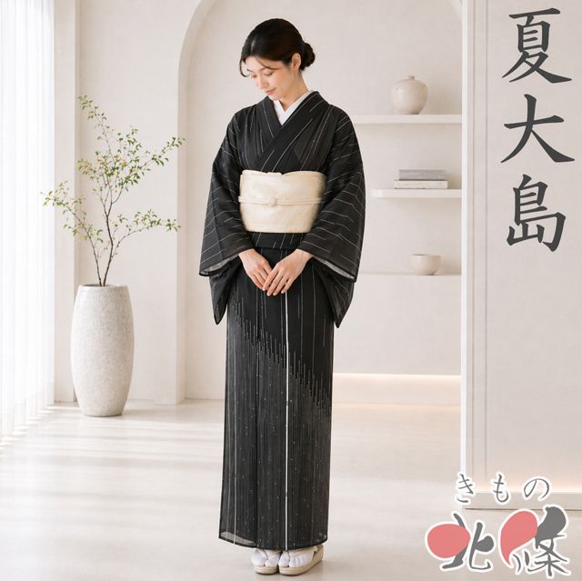 すごい値！夏大島 夏物 単衣 着物 正絹 黒 芝 カジュアル 中古 仕立て上がり 夏 身丈159 裄64.5 Ｍサイズ みやがわ nek00581 夏物 夏大島 着物 未使用 正絹 越後 単衣 紗紬 黒 色紙重ね文