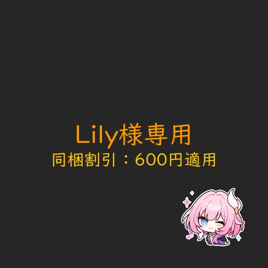Lily様専用 【公式通販】