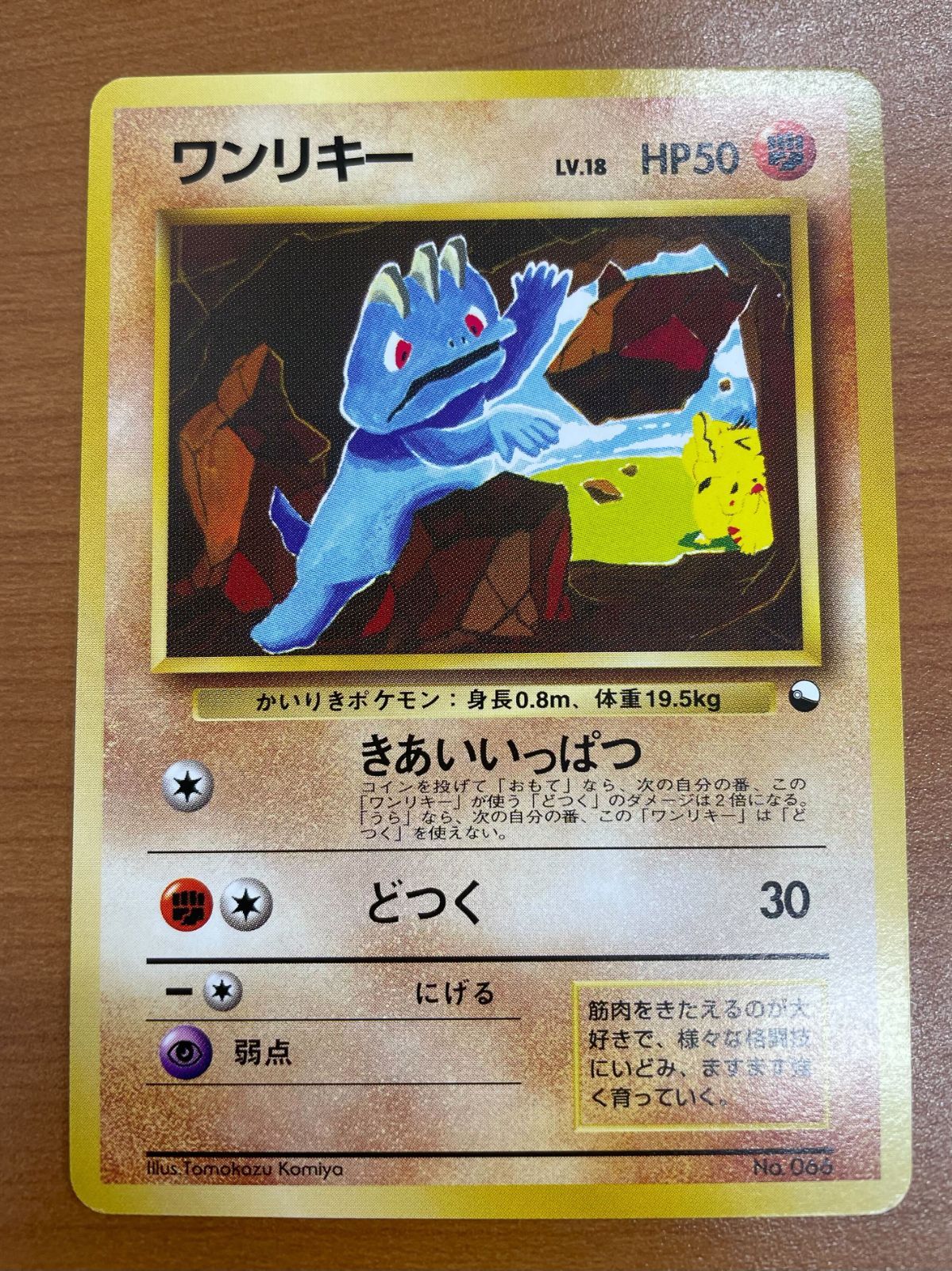 ポケモンカード 旧裏 初版 ワンリキー No.066 PSA8】ポケモンカード 旧裏面 ワンリキー 初版 マークなし No.066
