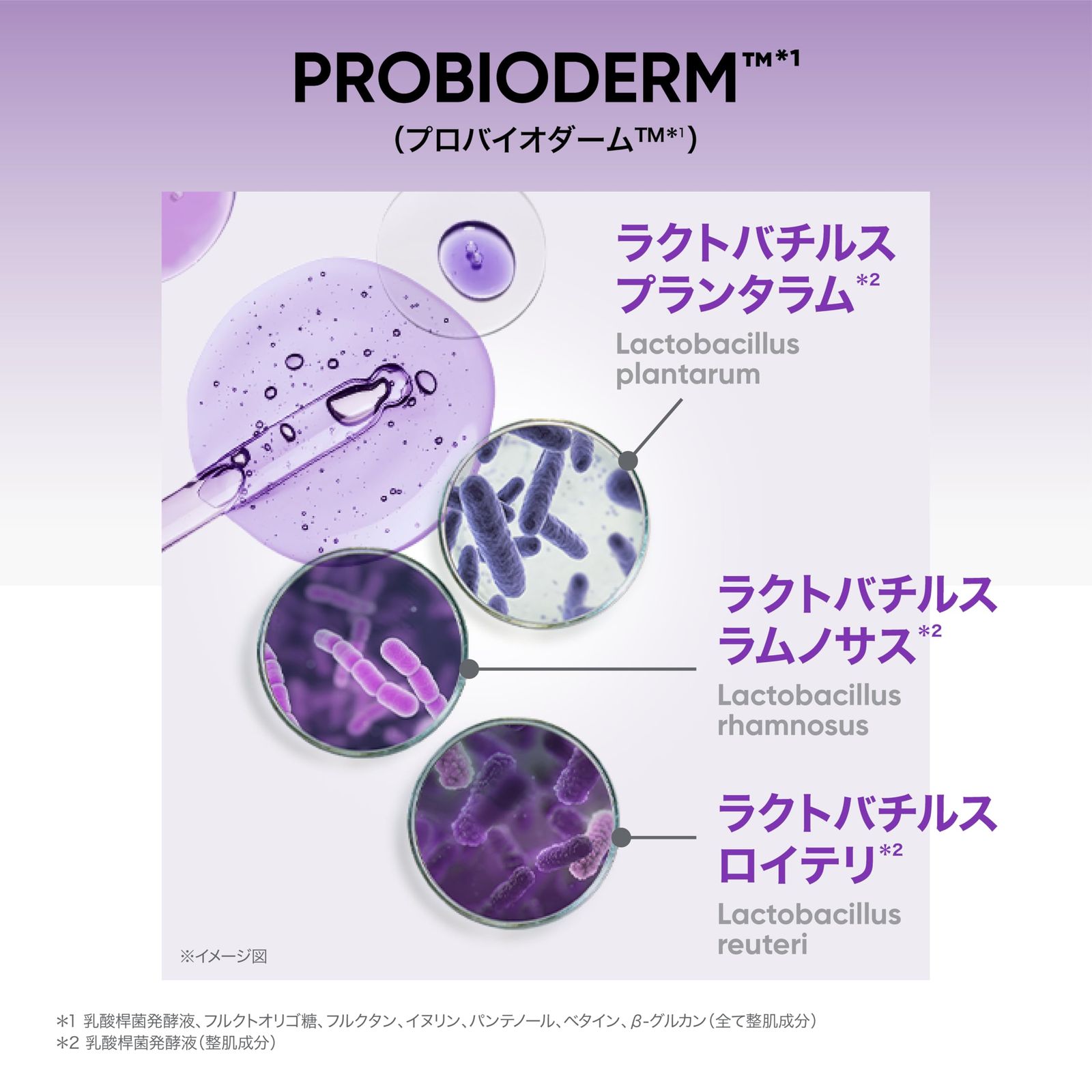 バイオヒールボ(BOH) プロバイオダーム コラーゲンリモデリング セラム 