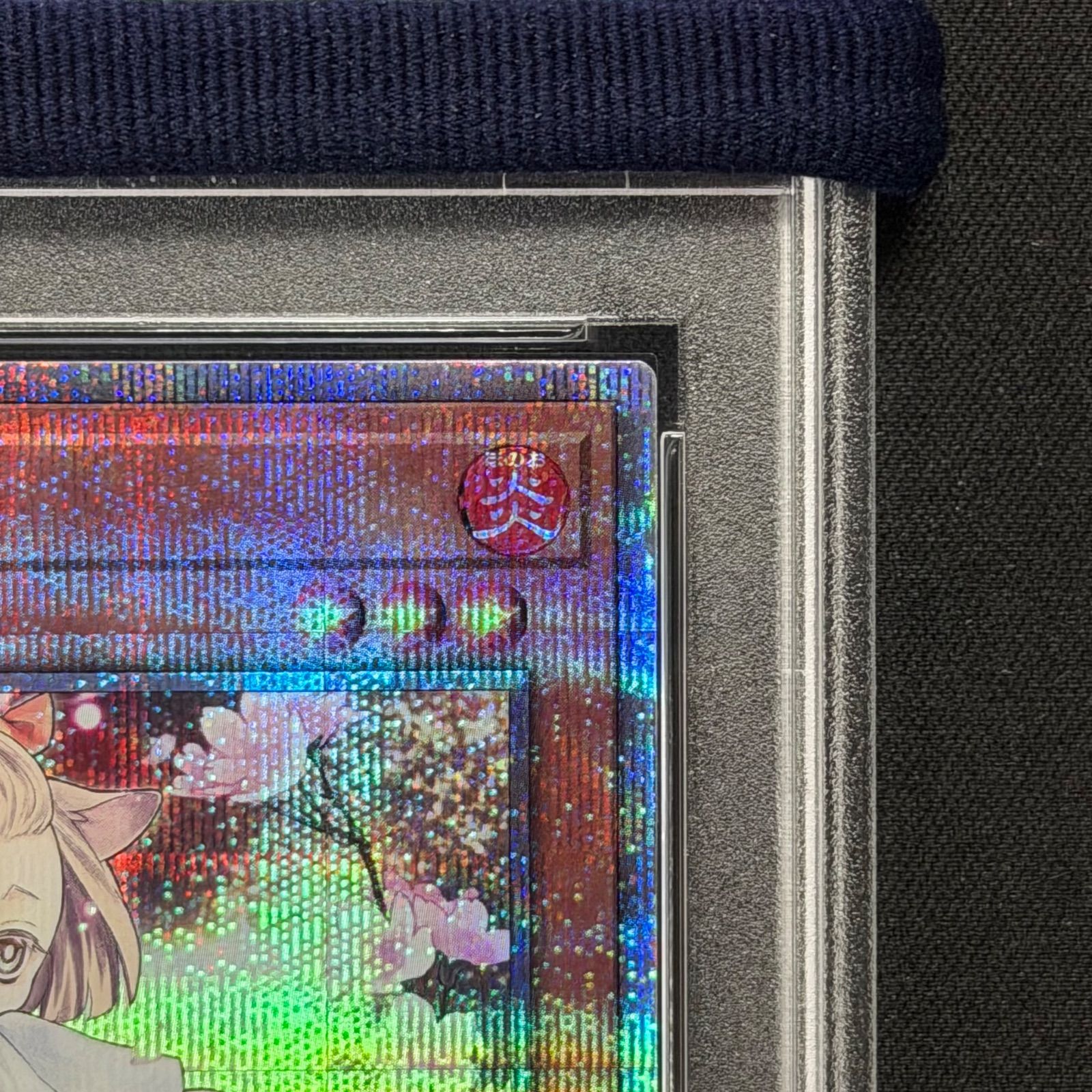 遊戯王 PSA10 灰流うらら 25thシークレットレア QCAC-JP050 A001-程度極上