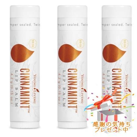 YOUNG LIVING ヤング・リビング シナミント リップバーム 4.2g 3個セット プレゼント付