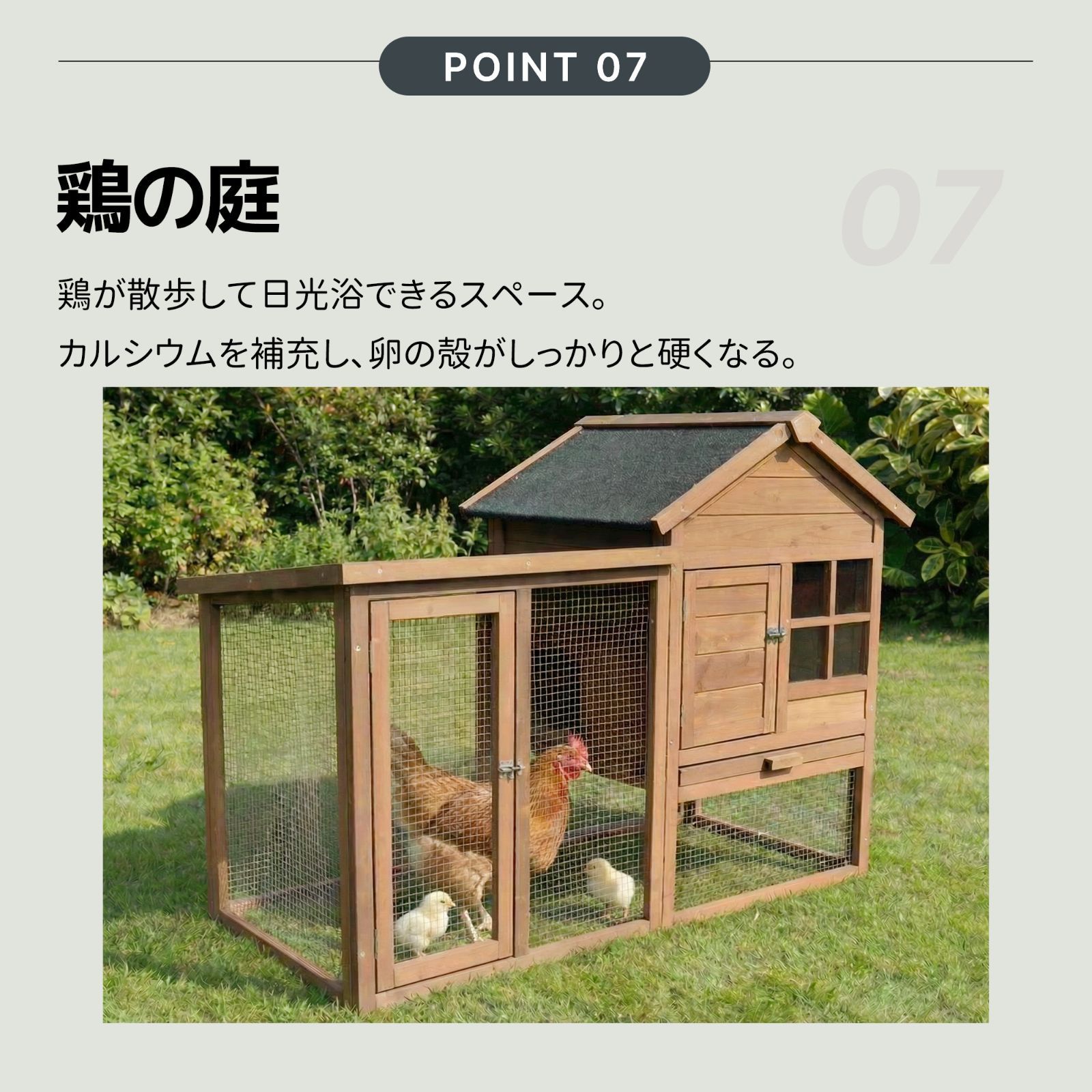1000円クーポン配布中】大型鶏小屋 鶏ケージ 4～6羽用 高床式 防水屋根