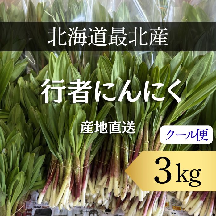 行者にんにく アイヌネギ3kg 岩手県産天然行者ニンニク 3kg アイヌネギ