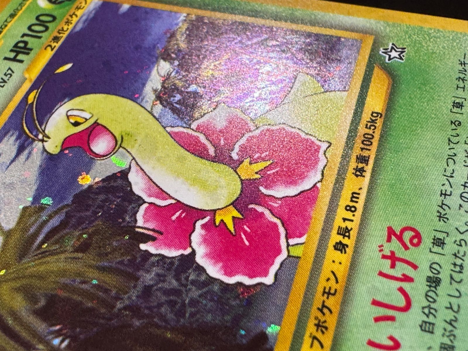 旧裏】メガニウム LV.57 ☆ No.154 金、銀、新世界へ… ポケモンカード