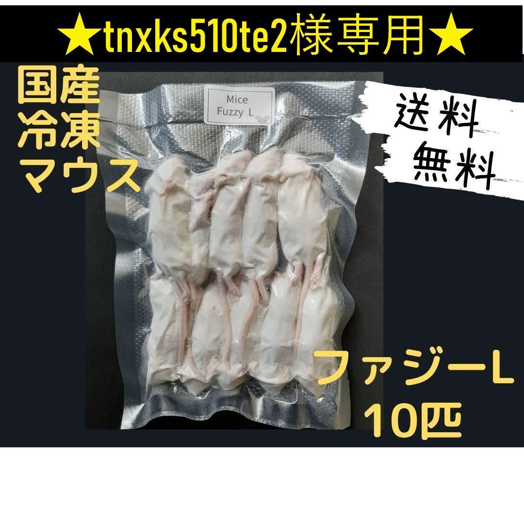 ☆tnxks510te2様専用☆国産 冷凍マウス ファジーL 10匹 (全国送料無料