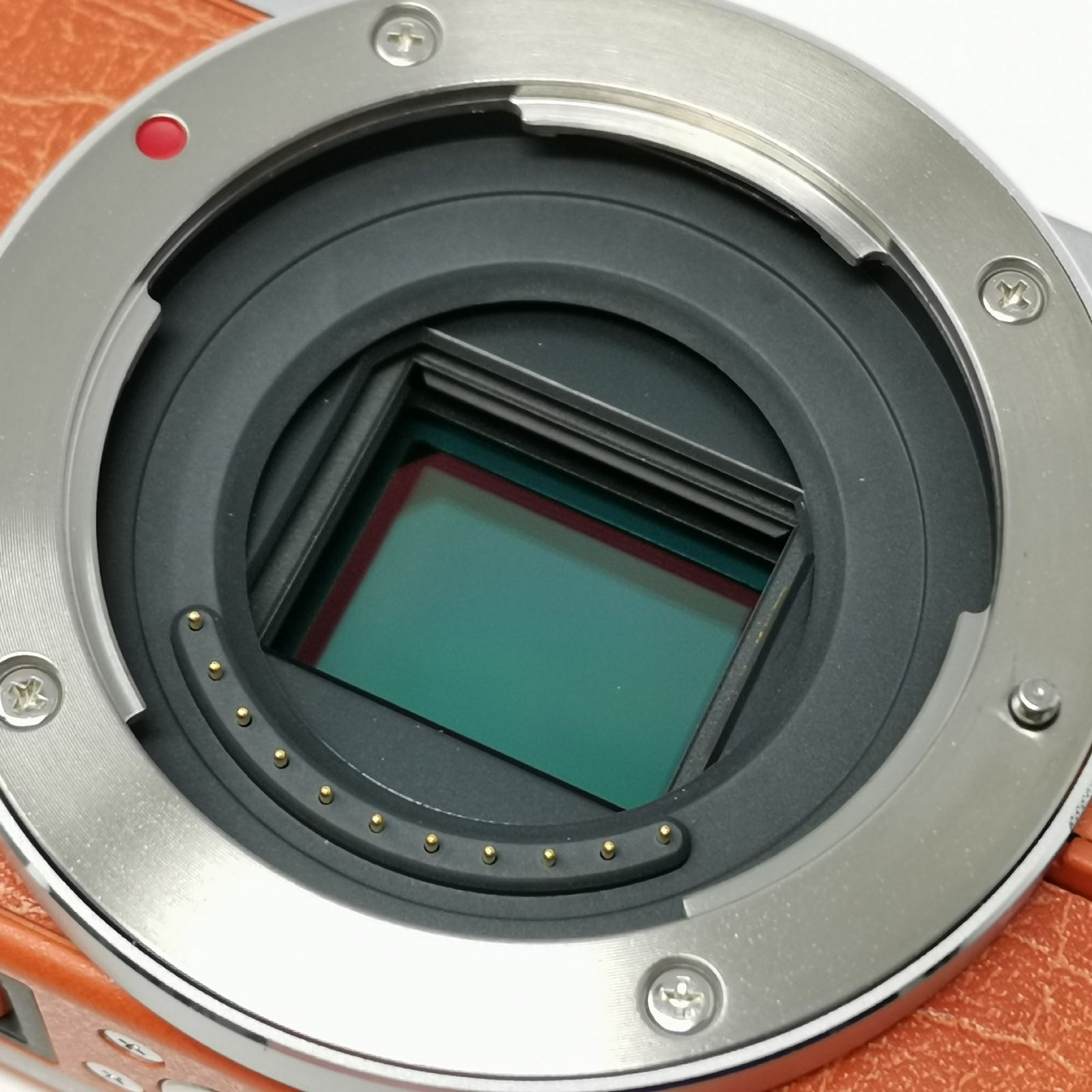 Panasonic LUMIX GM DMC-GM1K オレンジ ミラーレス一眼カメラ マイクロ
