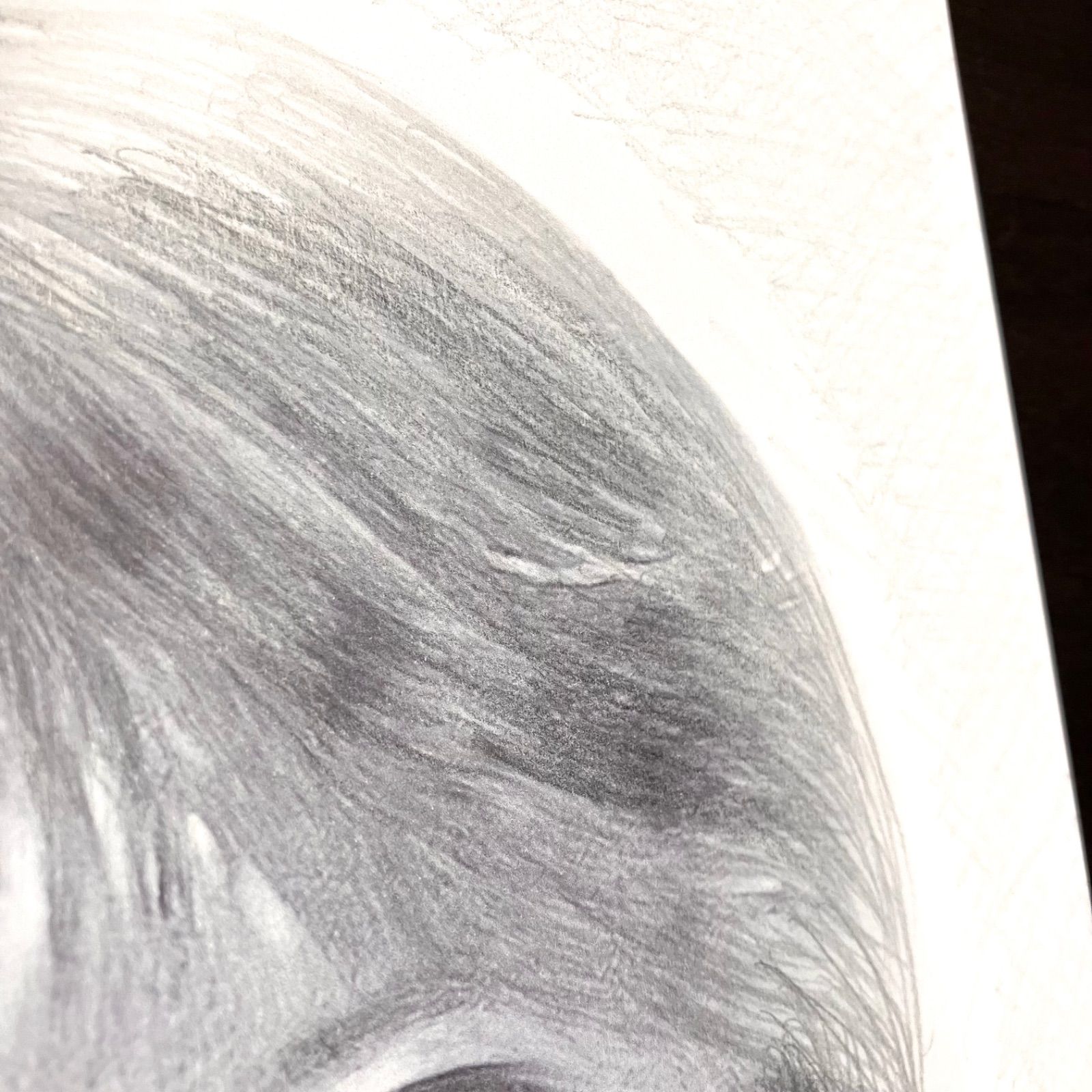 女優画13 額装品 額縁寸法45cm×33cm パステル、ペン、鉛筆画 【公式通販】