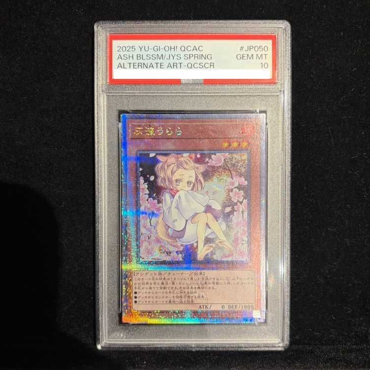 遊戯王 灰流うらら 新規イラスト QCシク 25th PSA 10 ⑤ PSA10】灰流うらら(イラスト違い版) QCSE・25thシク QCAC-JP050 1枚