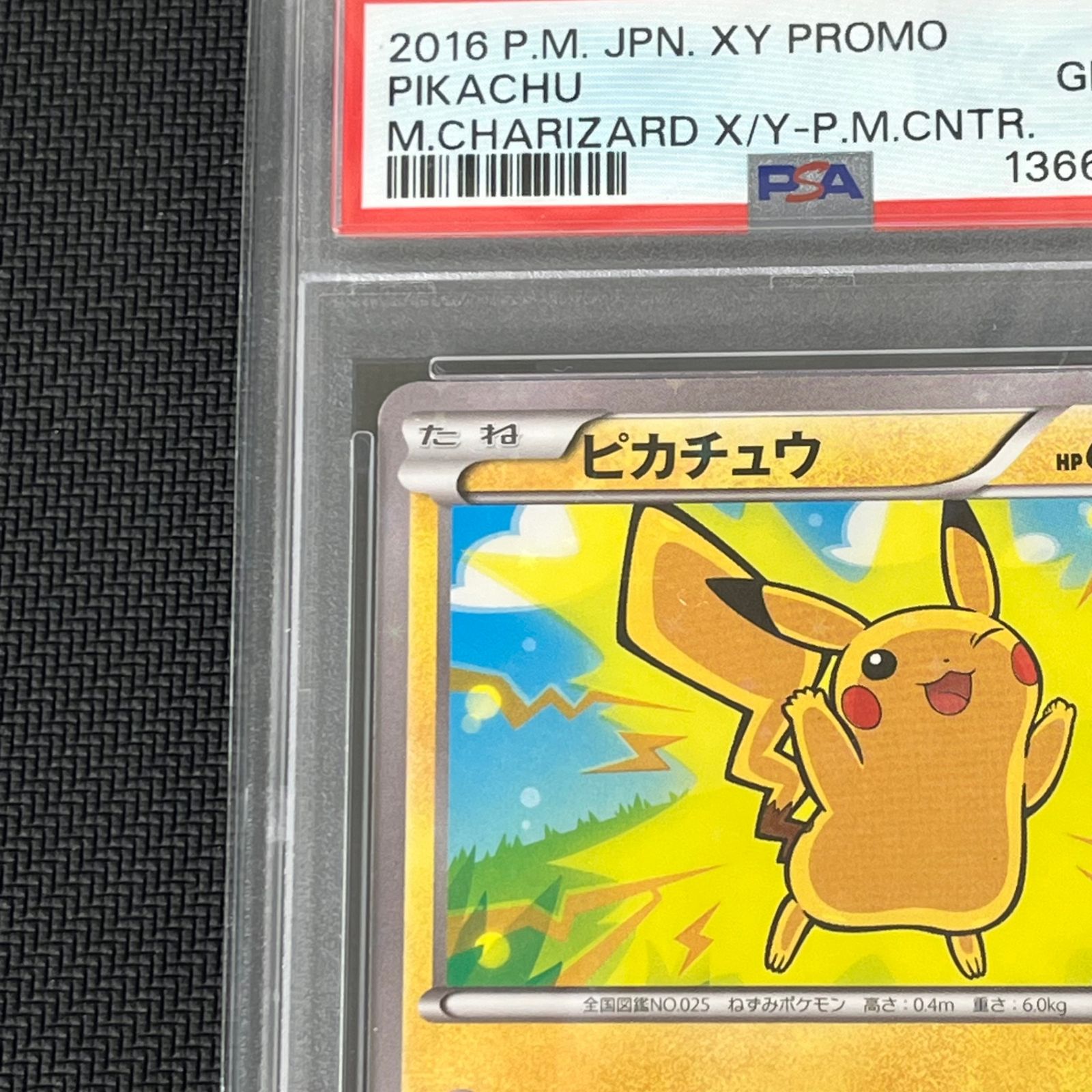 PSA10 ポケカ ピカチュウ PROMO プロモ 206/XY-P スペシャルBOX メガ