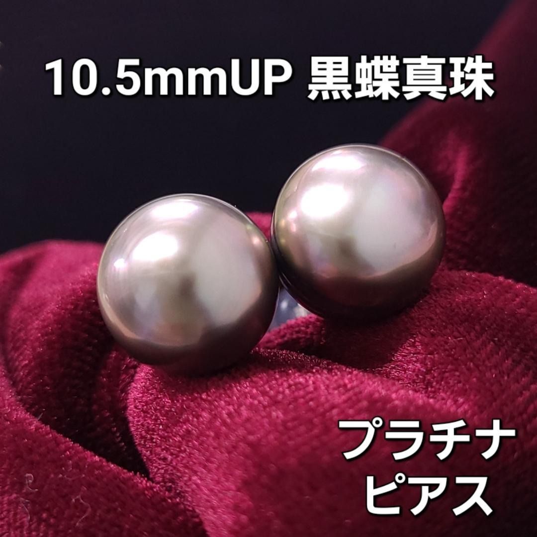 激安！お買い得！10.5mmUP 黒蝶 真珠 タヒチ パール プラチナ ピアス
