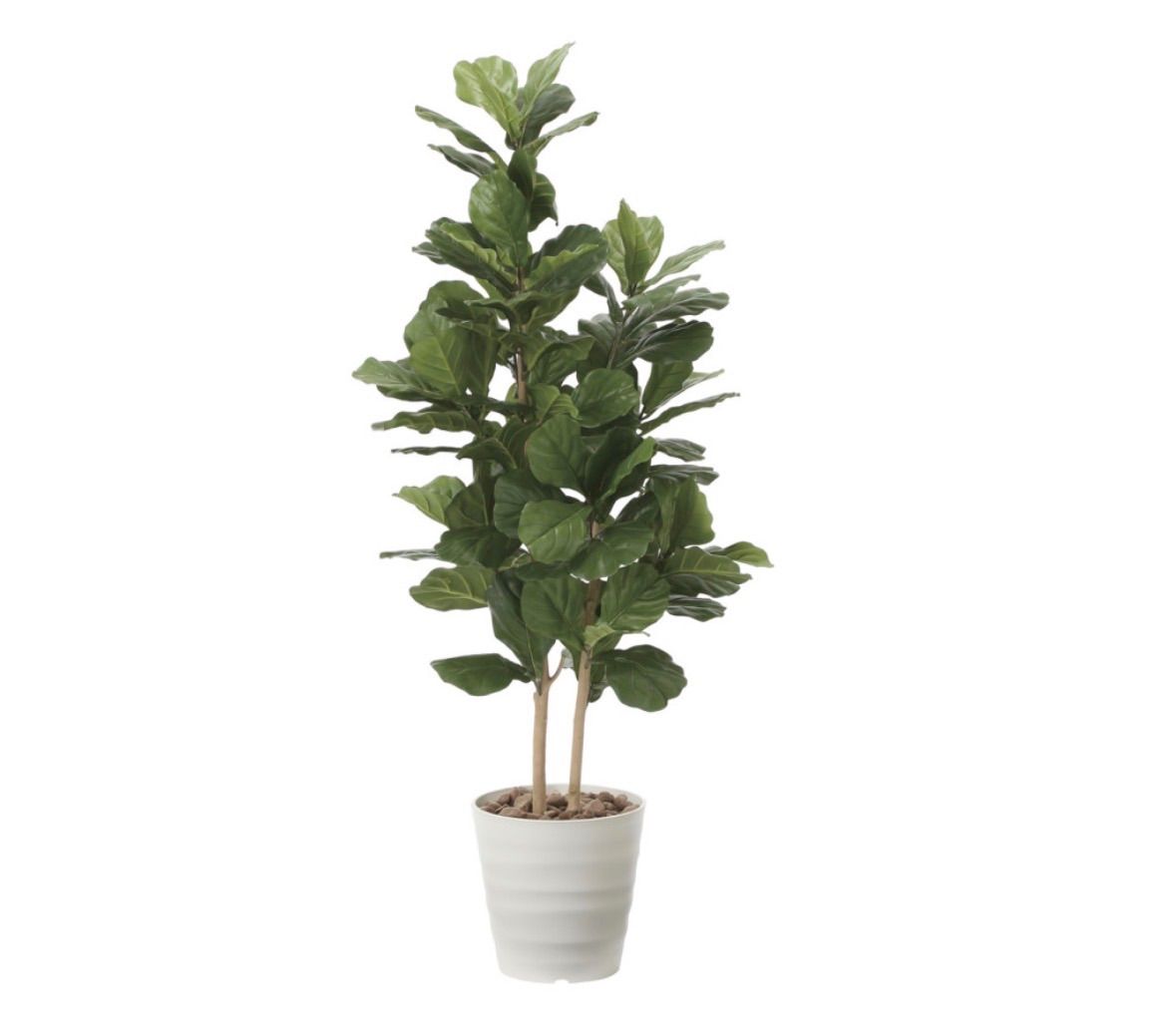光触媒 人工観葉植物 ウォールグリーン フェイクグリーン カシワバゴム 