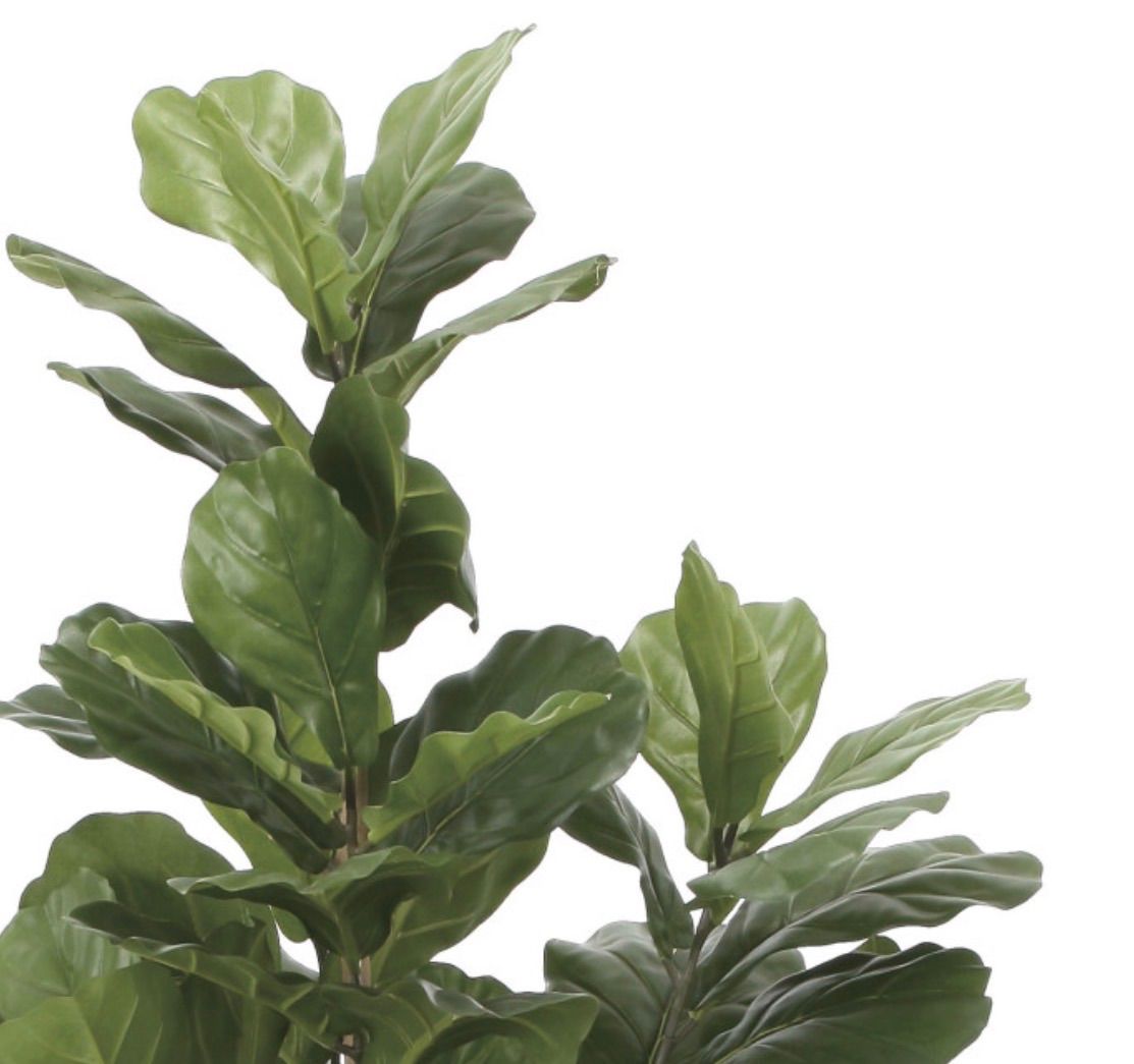 光触媒 人工観葉植物 ウォールグリーン フェイクグリーン カシワバゴム 