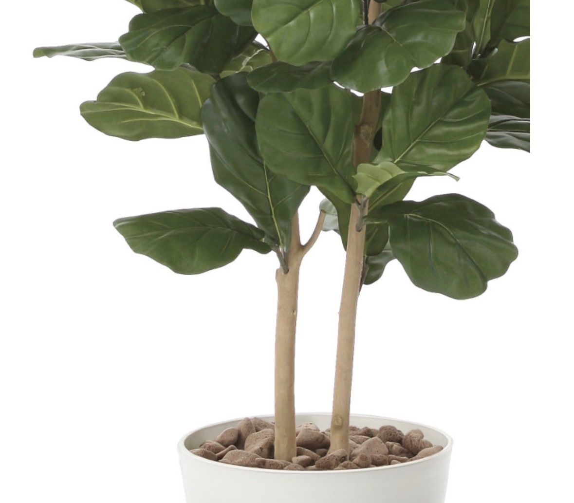 光触媒 人工観葉植物 ウォールグリーン フェイクグリーン カシワバゴム 