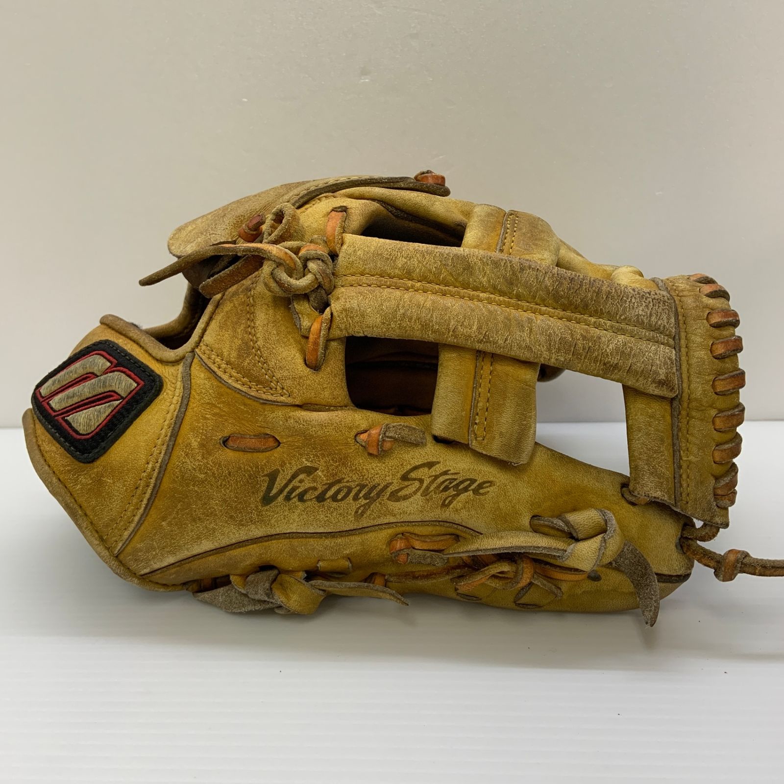 ミズノ MIZUNO ビクトリーステージ 2GW13000 硬式 大人 一般 投手用 