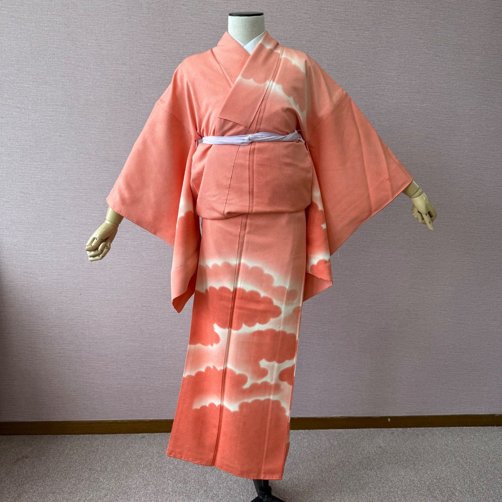 付け下げ 訪問着 着物 袷 赤 ピンク 雲取 江戸小紋 リサイクル着物 h 