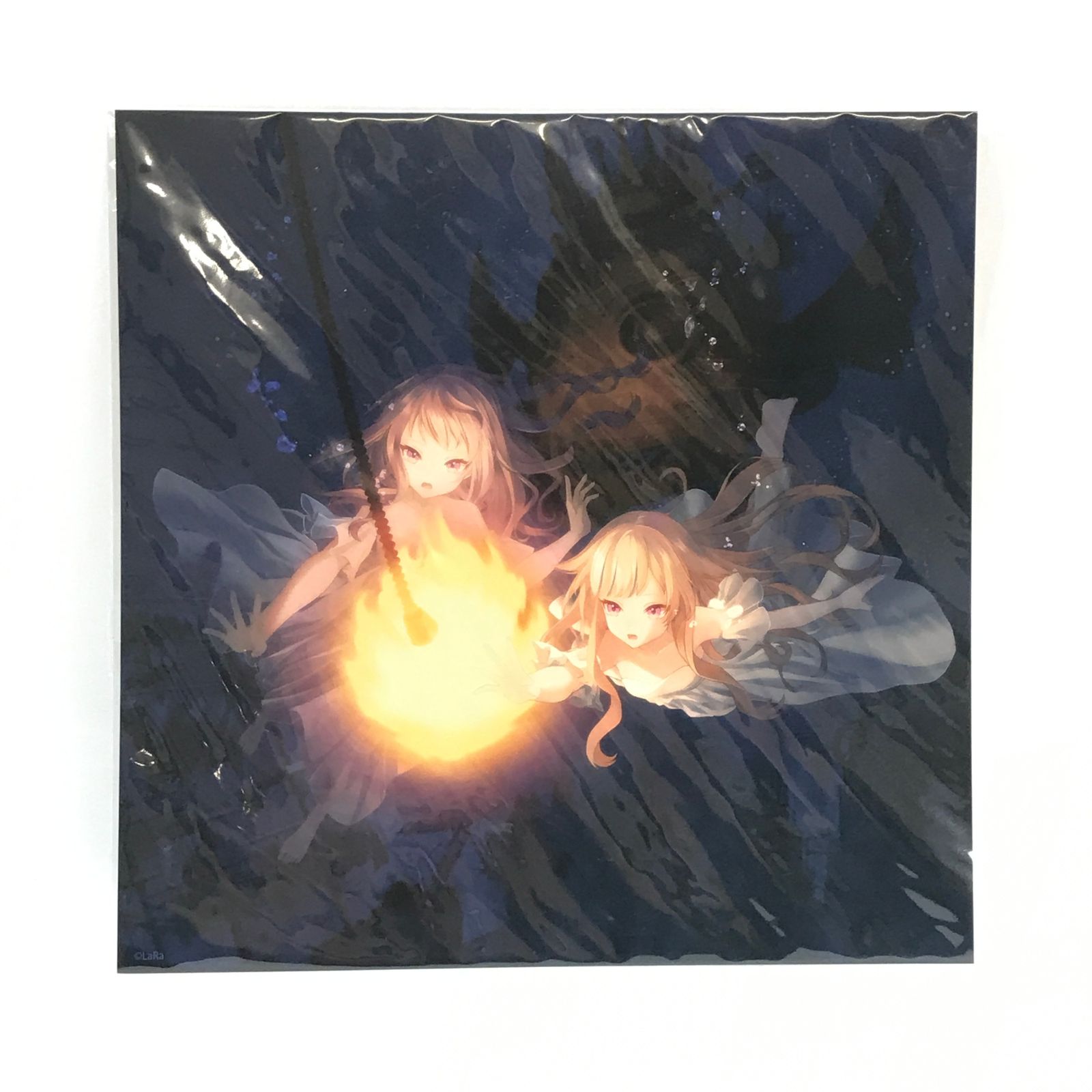 □LaRa グッズ 田中ヒメ＆鈴木ヒナ 複製メッセージ入りアクリルアート