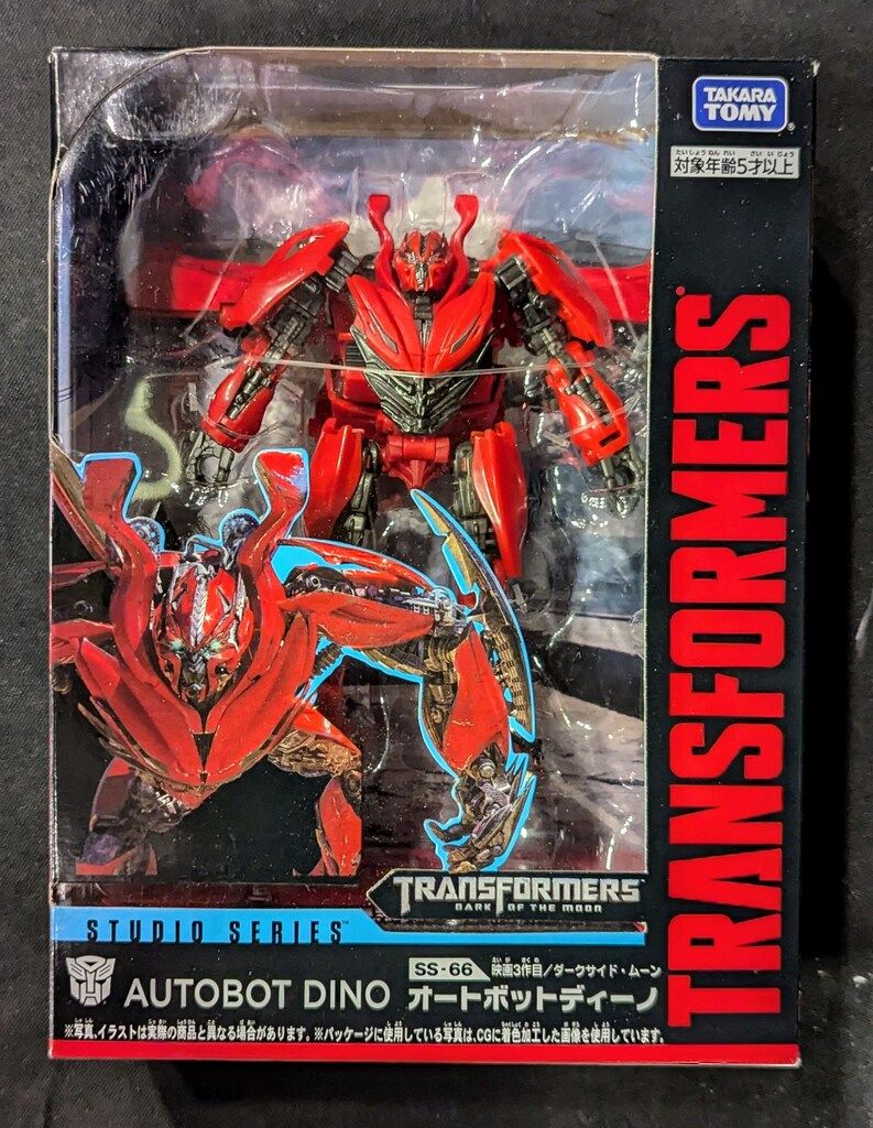 美品】ozwrt TheCaudexMan CyphostemMan