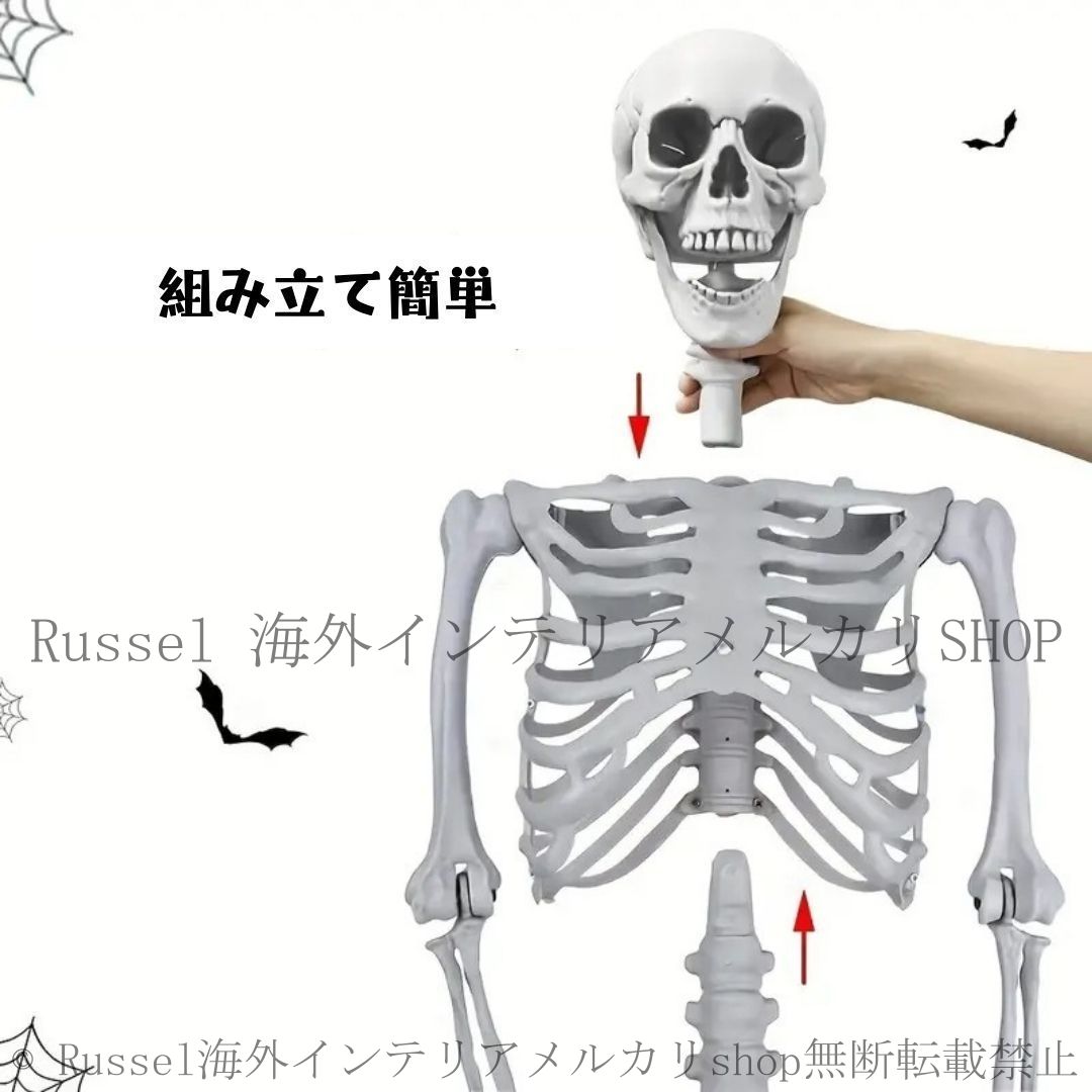 置物 オブジェ 骸骨 ガイコツ ドクロ スケルトン 全身 標本 等身大