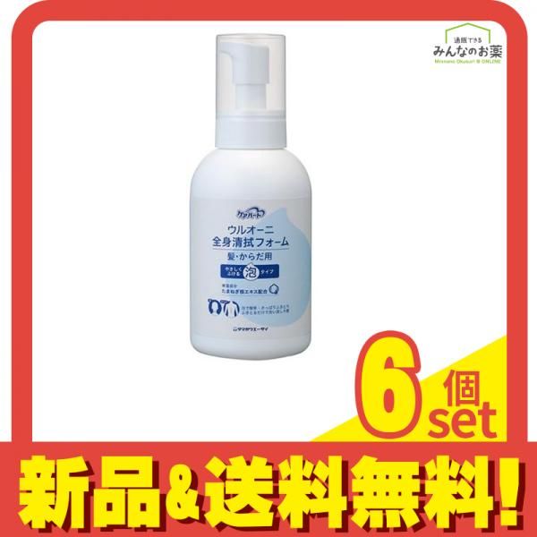 ケアハート ウルオーニ 全身清拭フォーム 泡タイプ 500mL 6個セット まとめ売り