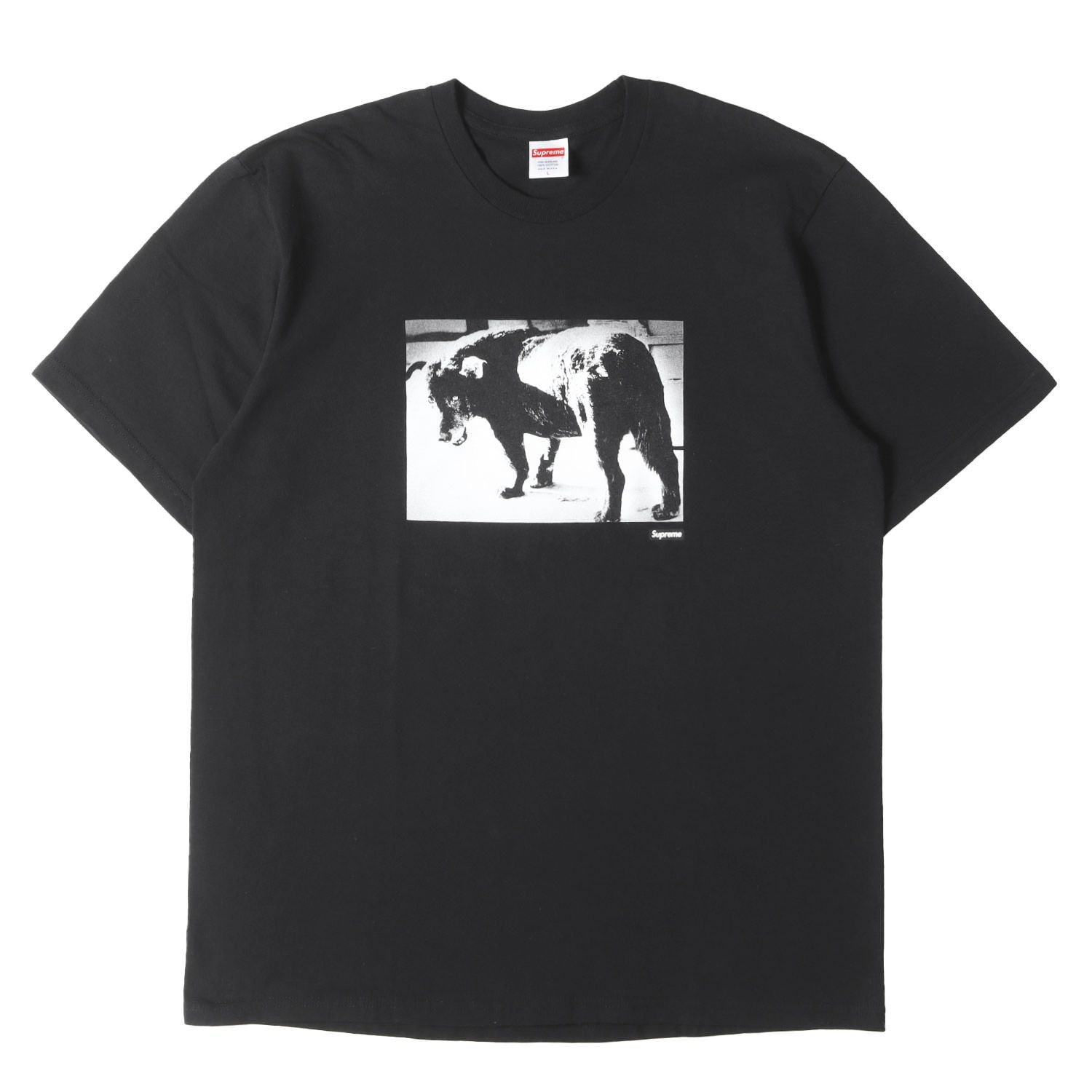 スモールボックス supreme tシャツ ボックスロゴ - large plain 2JQT