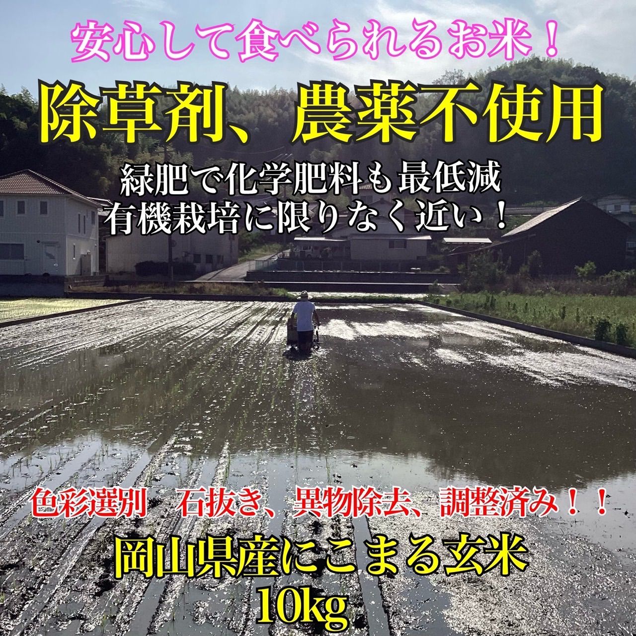 岡山県産　農薬、除草剤不使用　にこまる　玄米10㎏ 岡山県産にこまる玄米10kg(農薬・除草剤不使用) - メルカリ