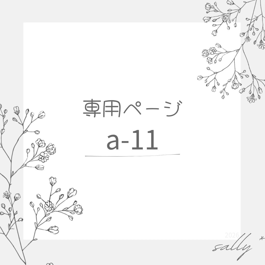 専用ページ＊ “ a-11 “ ドライフラワー　18点