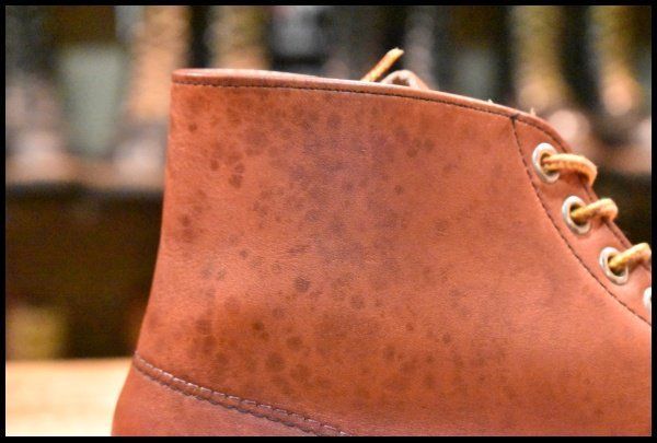 7D 良品 半円犬タグ 98年】レッドウィング 8166 アイリッシュセッター