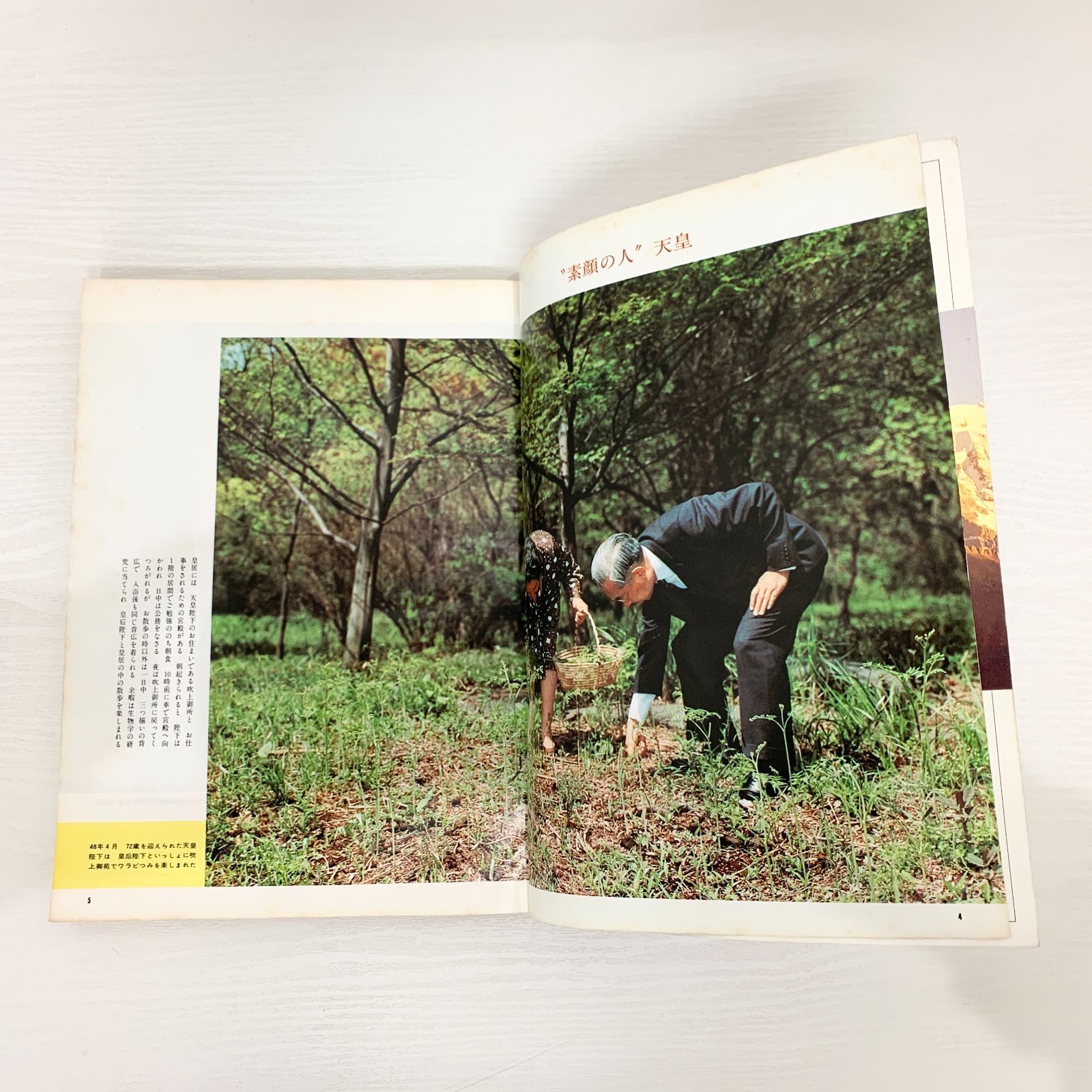 別冊一億人の昭和史 昭和天皇史 近代日本とともに80年 / 毎日ムック