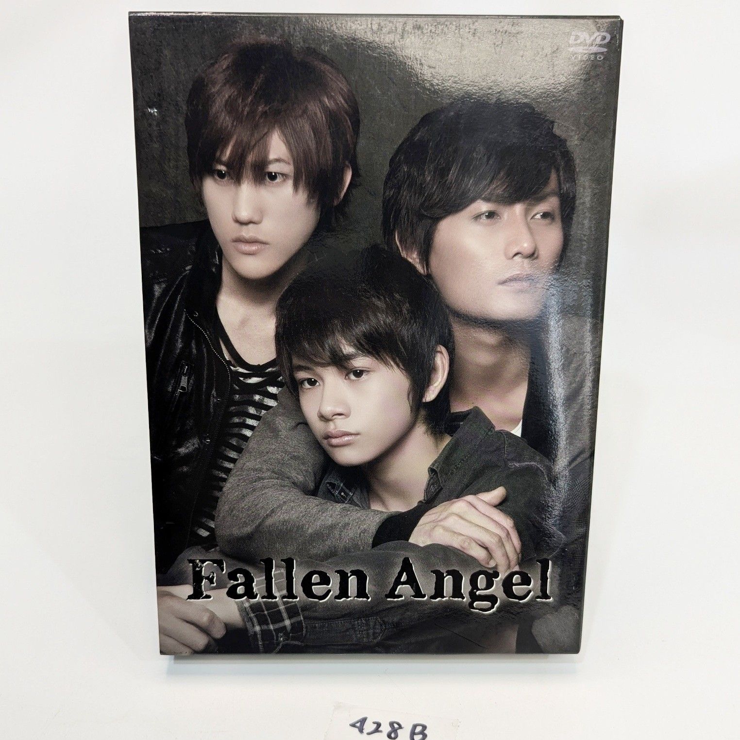 Fallen Angel DVD ドラマ 動作未確認 現状品 映像作品 音楽作品