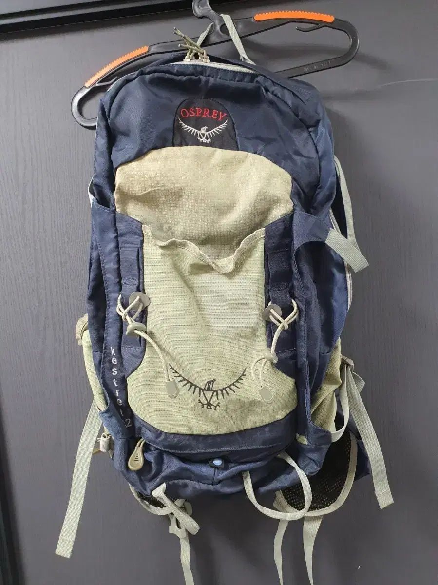 オスプレイ 正規品 32リットル 登山リュック 出品
