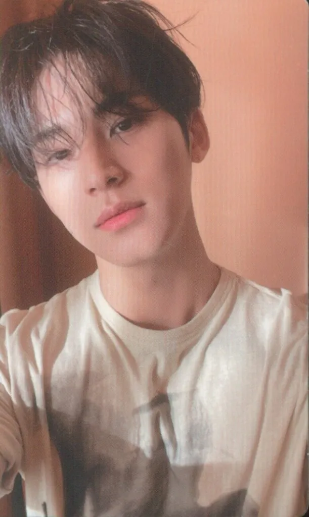 Mingyu – Face the Sun core album photocard photocard