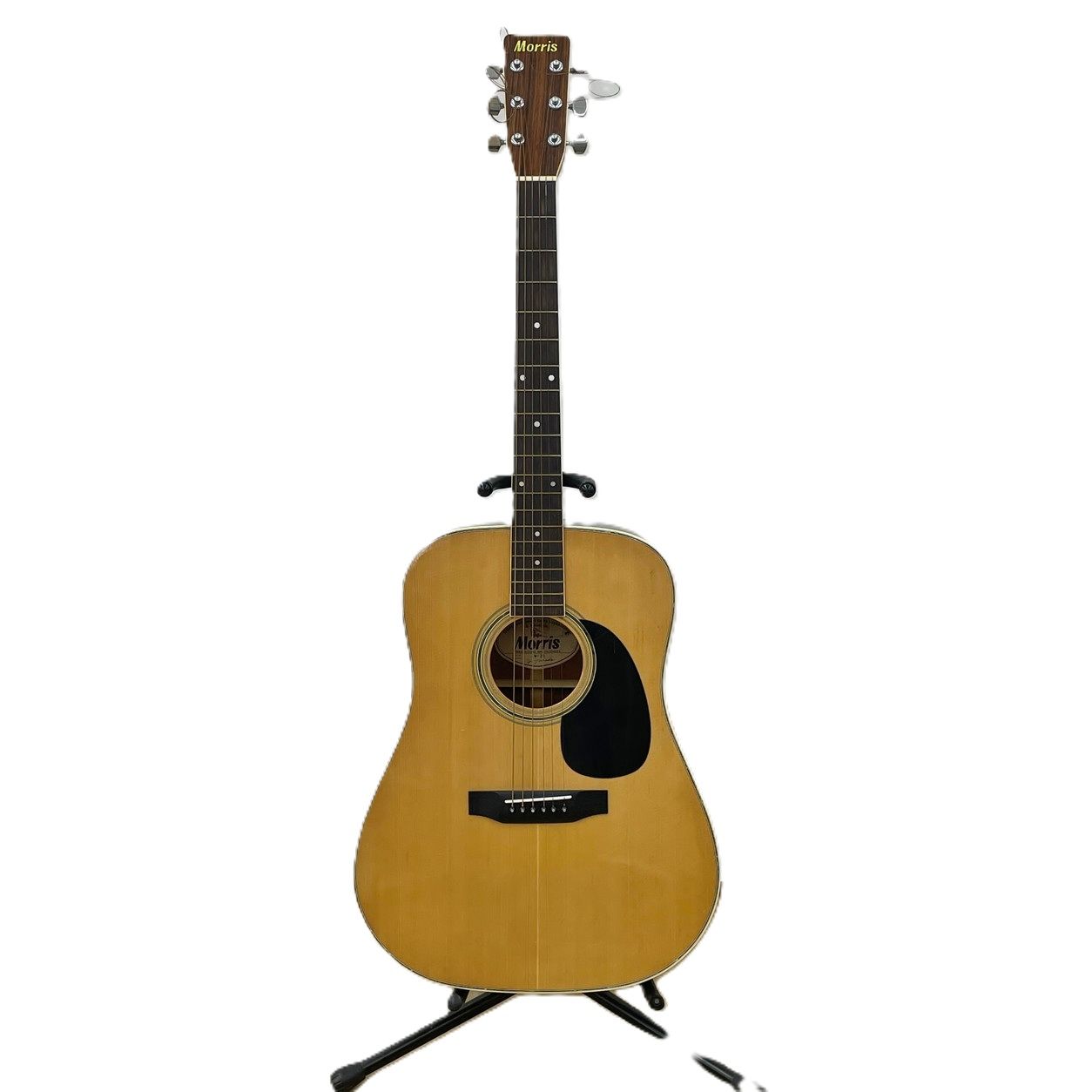Morris W-35 アコースティックギター Morris W-35 アコースティック