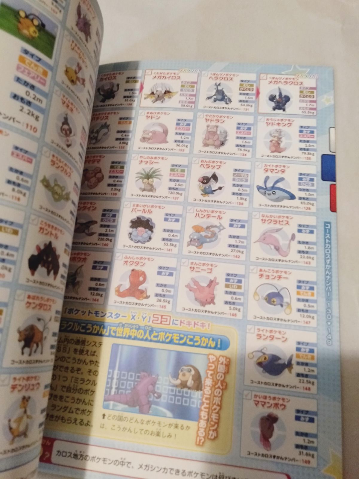 冊子のみ】ポケモンずかんブック -Xmas ＆ newYear- (マクドナルド特典