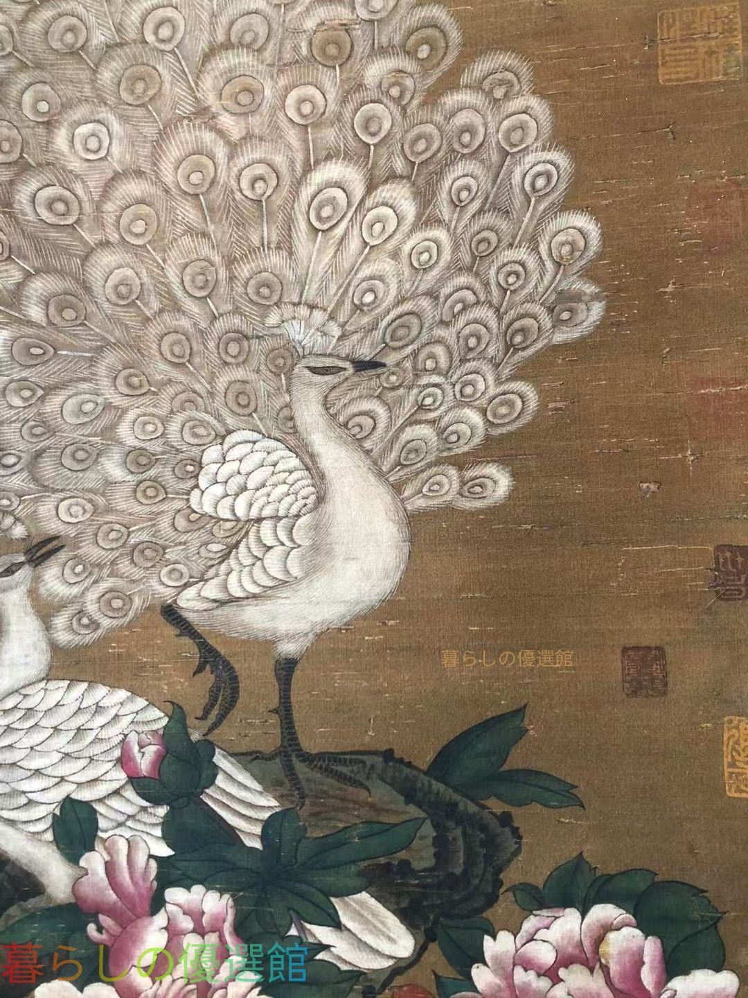 上品】趙昌 孔雀図 手描き絵画 絹本 中国古美術gd429 - メルカリ