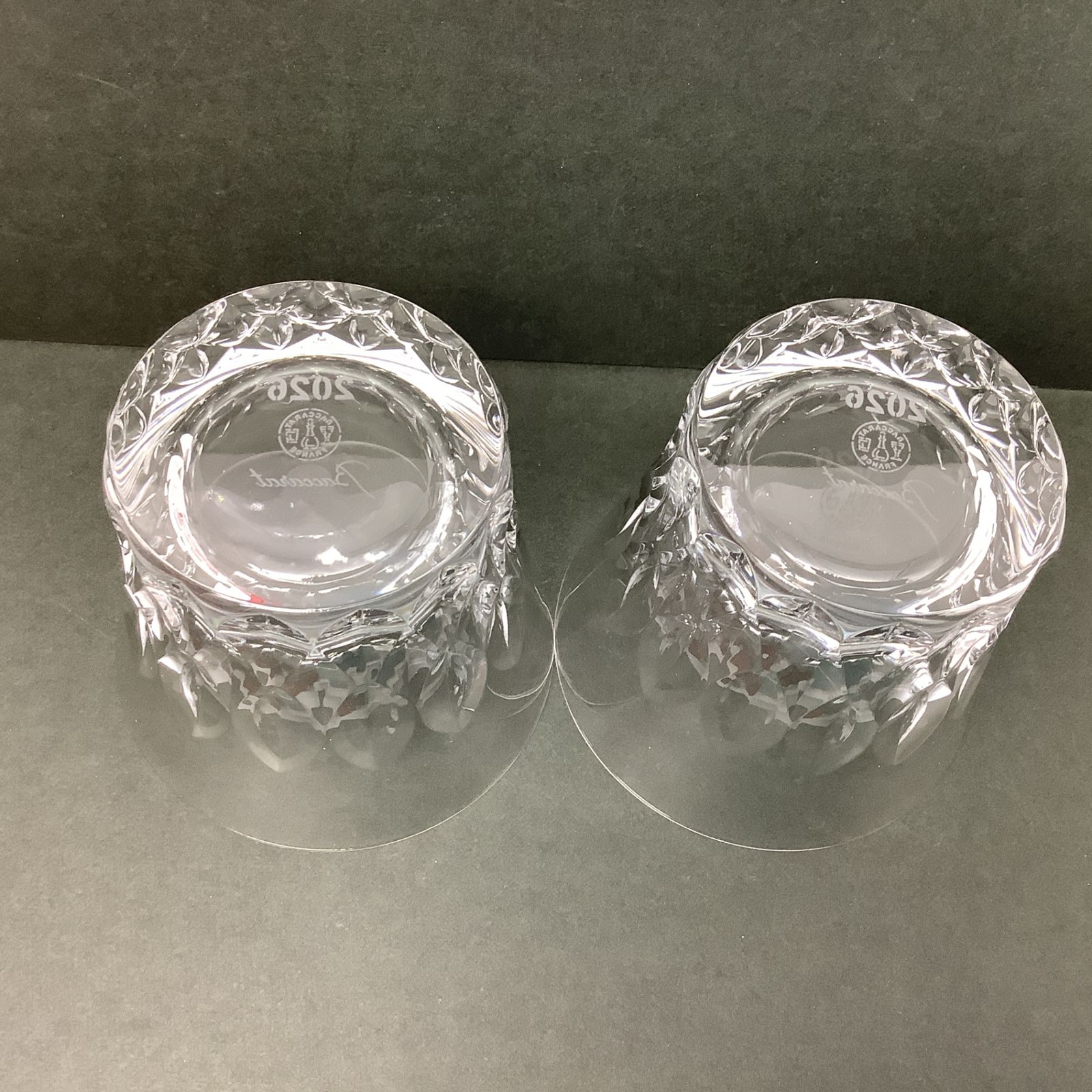 4379 【未使用保管品】 Baccarat バカラ 2026 ダリア イヤータンブラー 