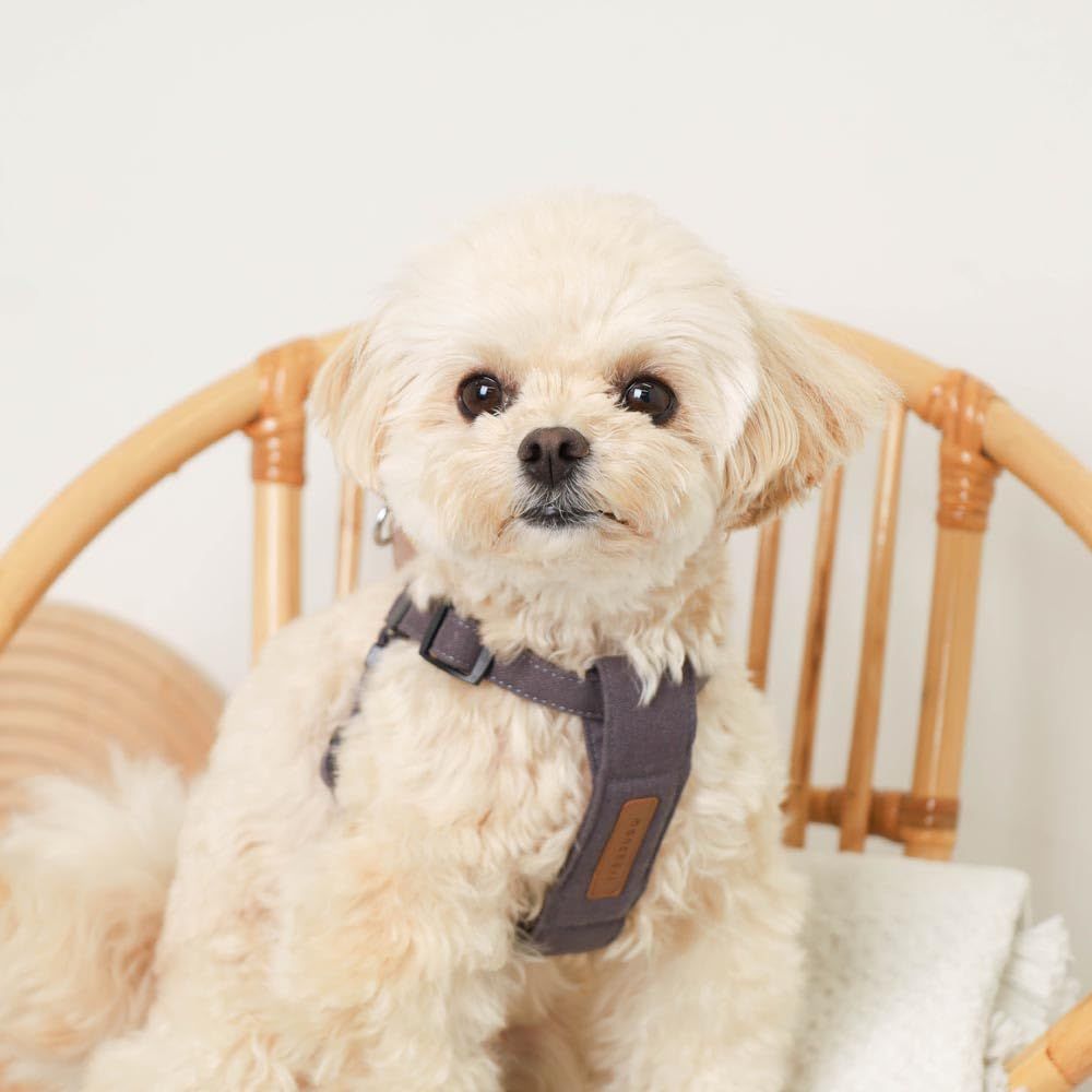 monch?ri モンシェリ [レザー×リネンハーネス] 犬 ハーネス 小型犬 (L/ベージュ) サイズ調節可能 ワンタッチ 着脱簡単 犬用 お散歩 お出かけ｜お散歩グッズ