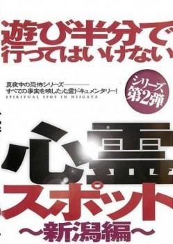 遊び半分で行ってはいけない心霊スポット 新潟編【邦画 中古 DVD