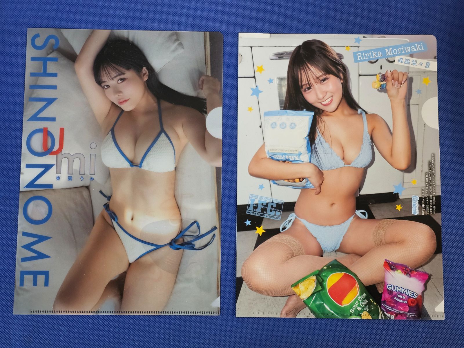W9-45】◎グラビア クリアファイル まとめ売り 16点セット - メルカリ