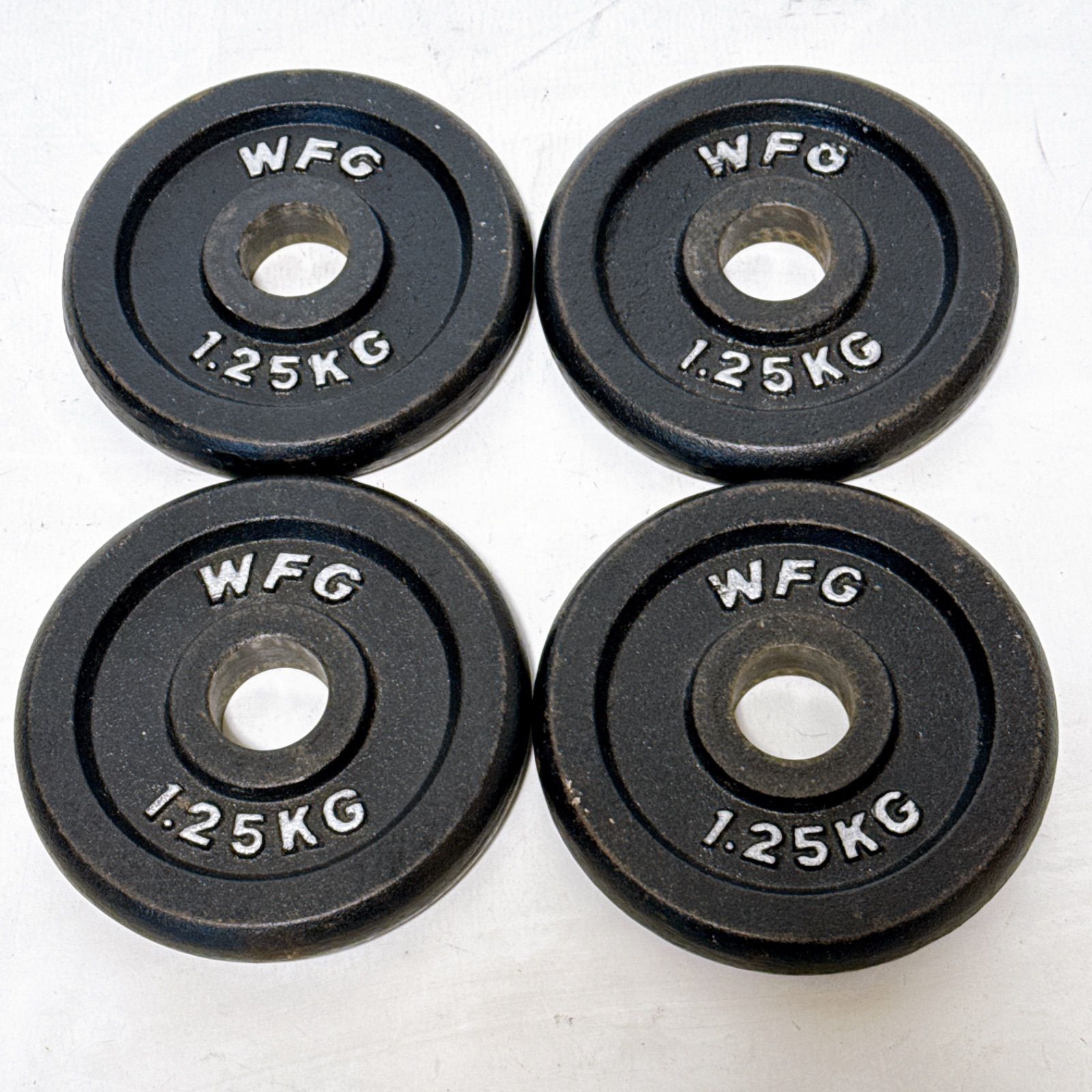 WFGダンベルプレート 10kg 2枚セット グリップ穴付き WILD FIT 10KG ダンベルプレート 2個セット WFG ワイルドフィット