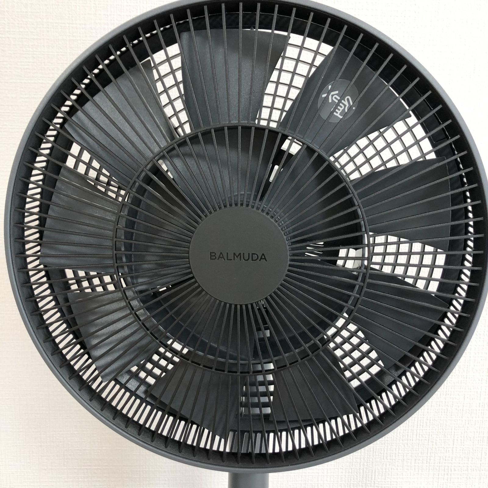 【BALMUDA】The GreenFan 扇風機 ブラック 特徴 | The GreenFan | BALMUDA（バルミューダ）公式サイト