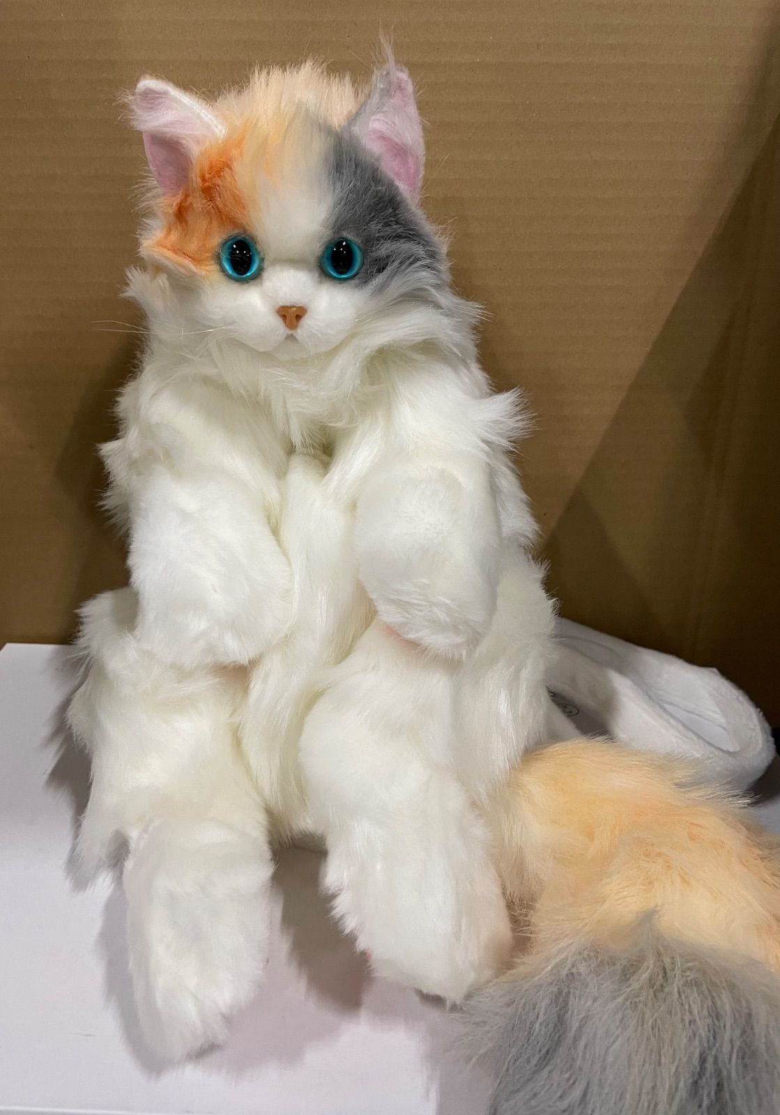 Chongker 猫ぬいぐるみ リアル 本物そっくり 新品未開封】 Chongker 猫ぬいぐるみ 本物そっくり - リアルな猫型