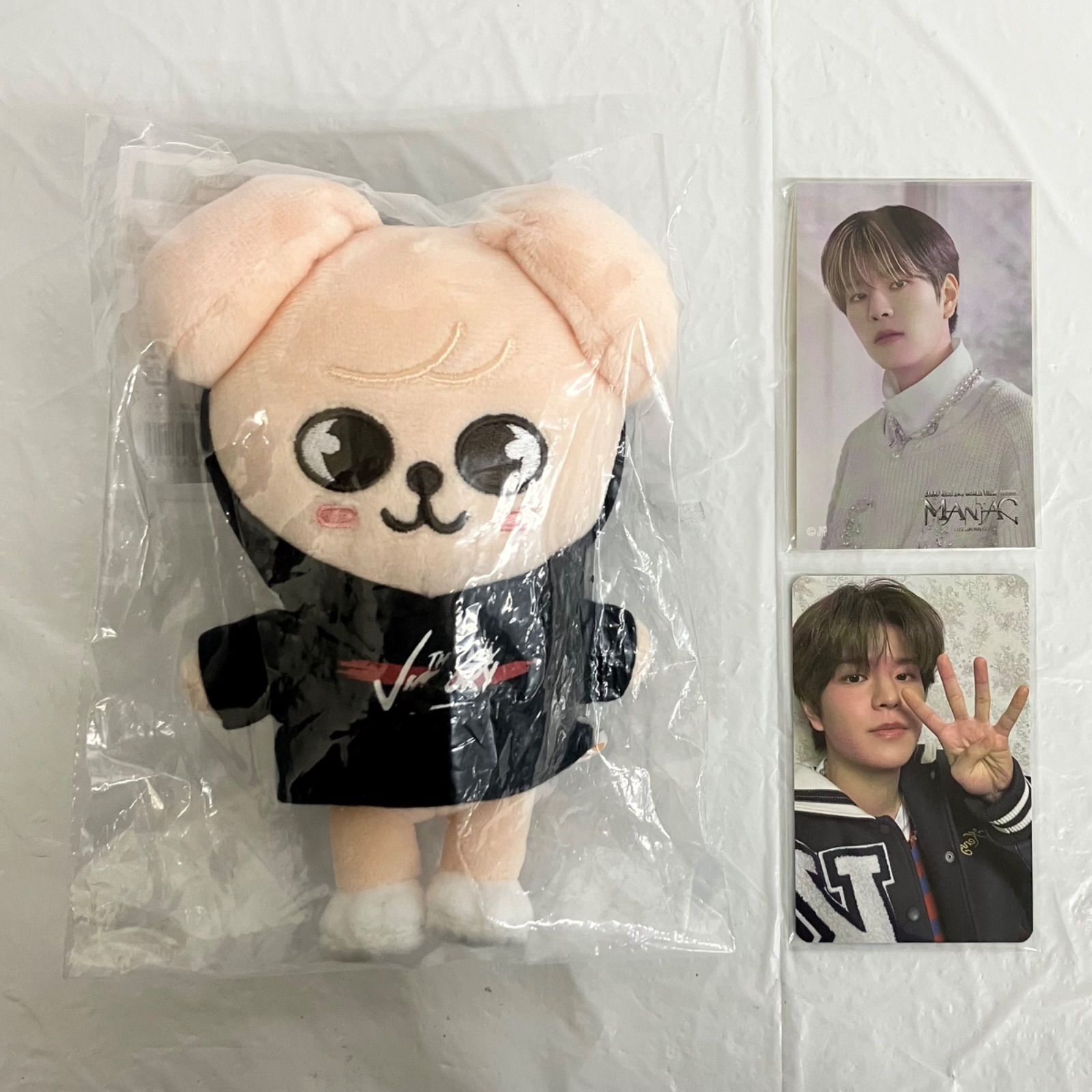 Stray Kids スンミン SKZOO PuppyM パピーム ぬいぐるみ トレカ NL4620