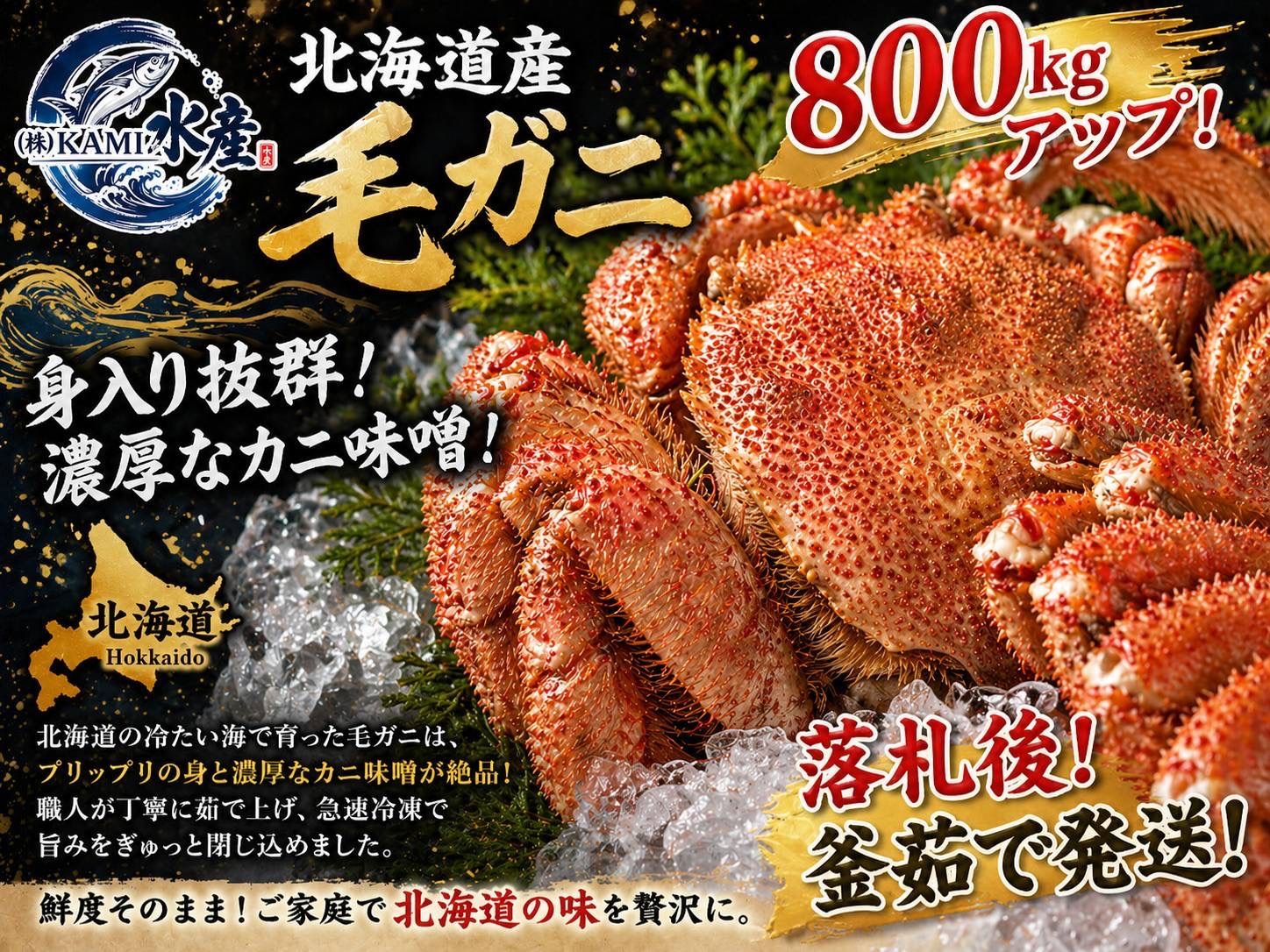 北海道産！800アップ！毛カニ！限定20杯！