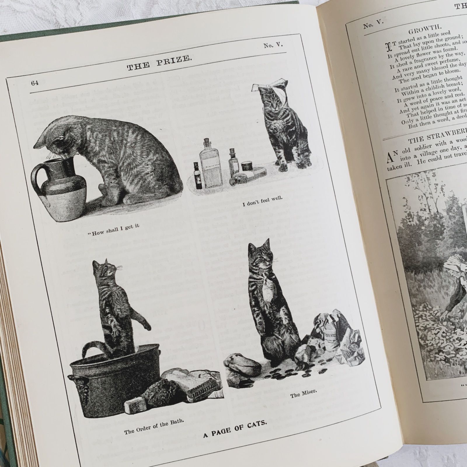 1908年 英国アンティーク児童書-美しいカラー&モノクロ挿絵を眺める