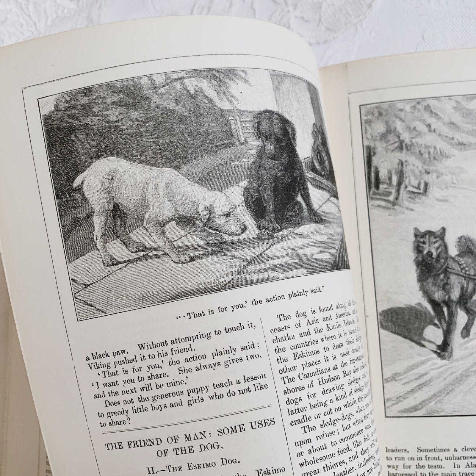 1908年 英国アンティーク児童書-美しいカラー&モノクロ挿絵を眺める