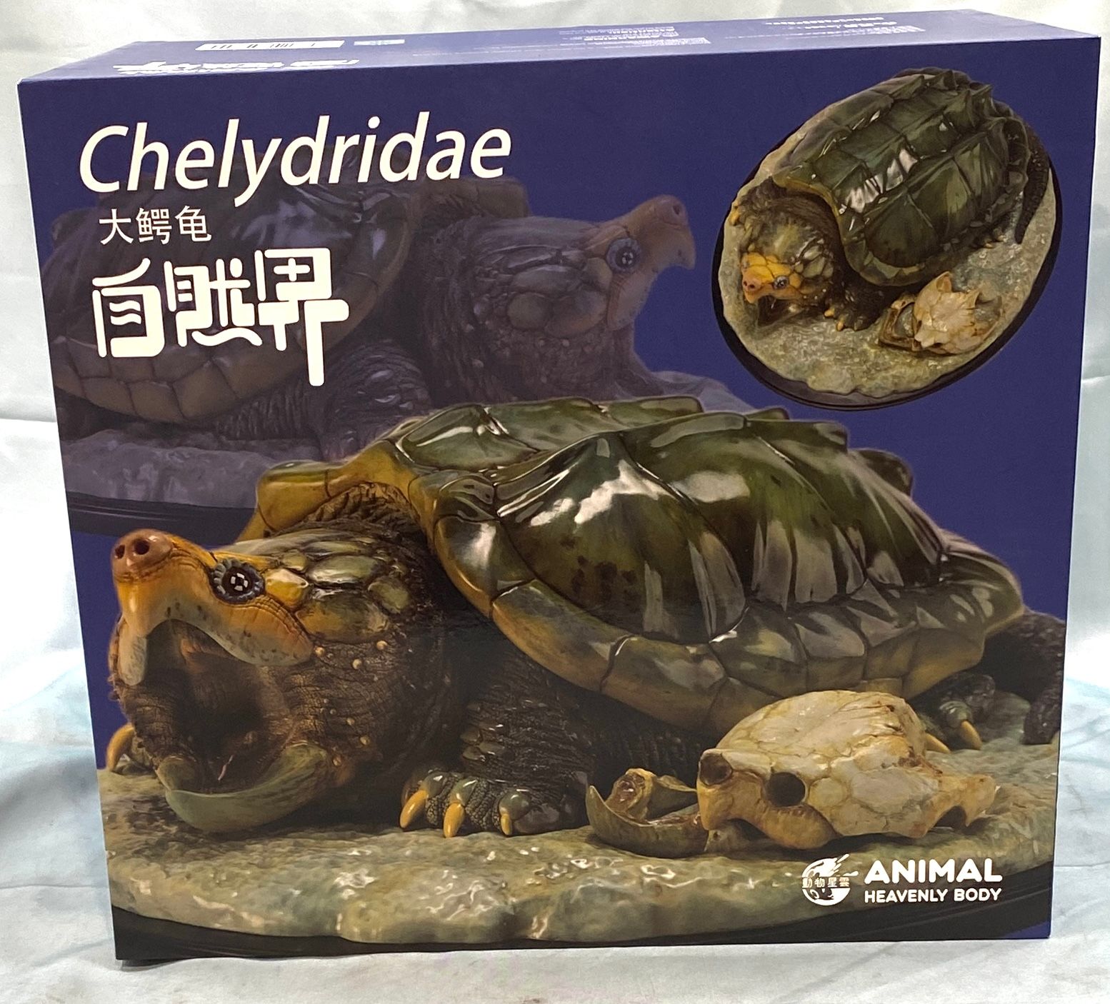 【開封済・未使用品】動物星雲 ANIMAL HEVENLY BODY 自然界 ワニガメ Chelydridae