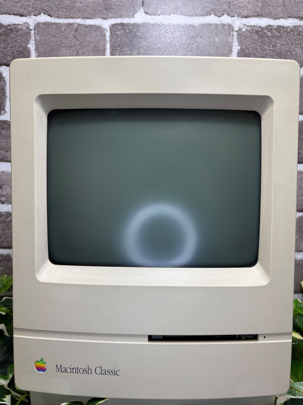 Macintosh classic PCモニター ジャンク品 - メルカリ