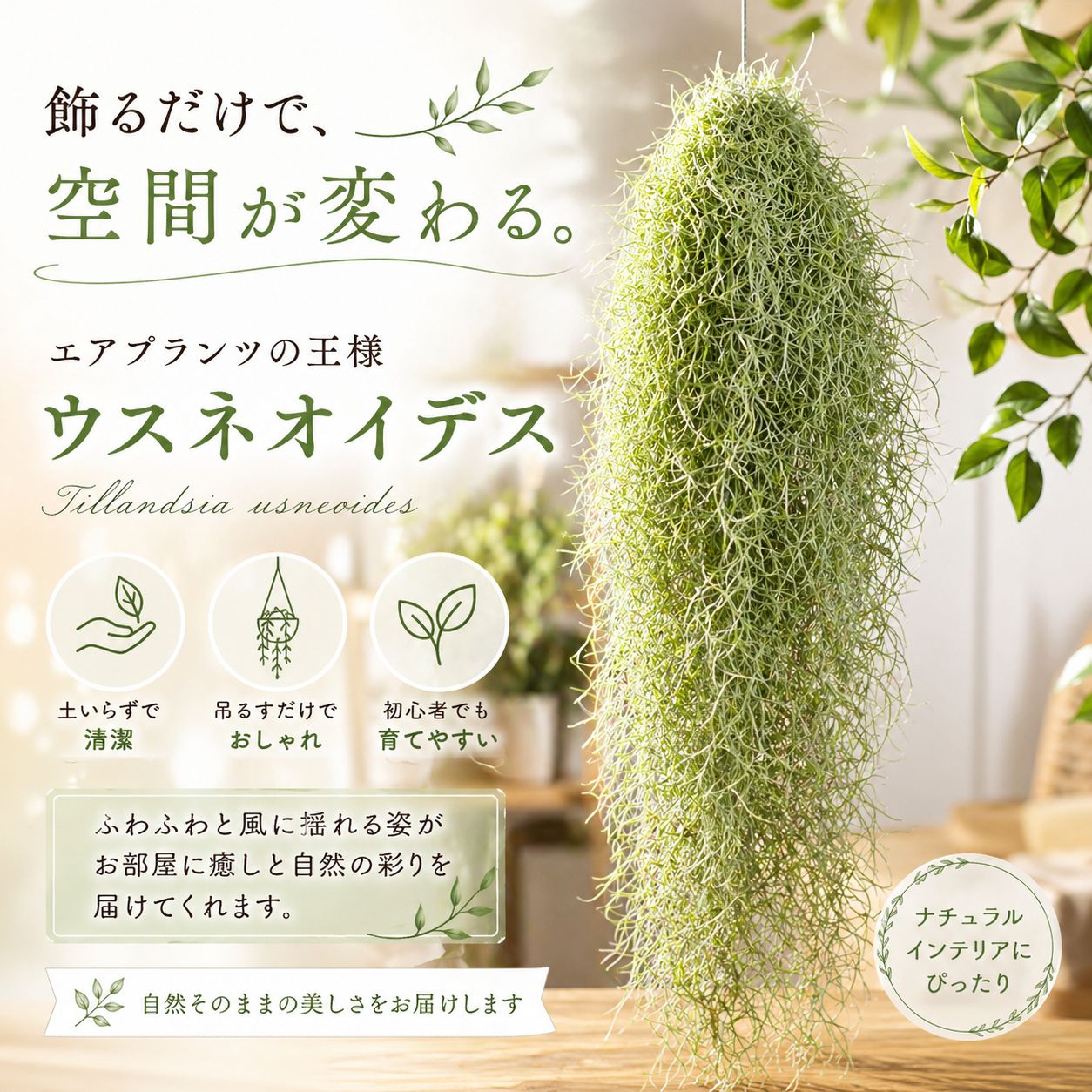 スパニッシュモス専用フックA】＋【超特大サイズのスパニッシュモス