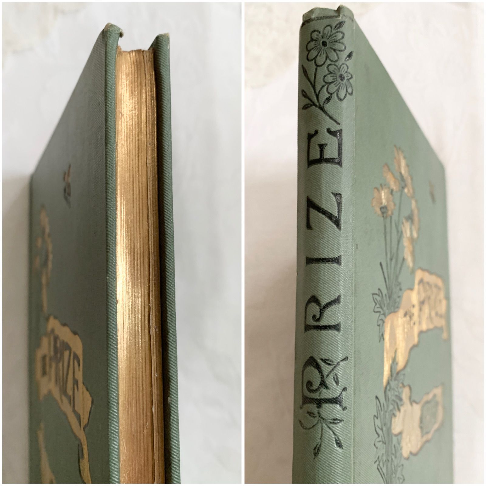 1908年 英国アンティーク児童書-美しいカラー&モノクロ挿絵を眺める